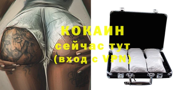 мяу мяу мука Новозыбков