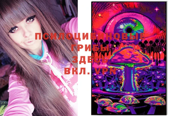 ешки Новосибирск