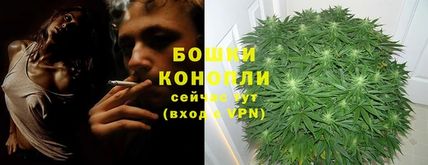 мяу мяу мука Новозыбков
