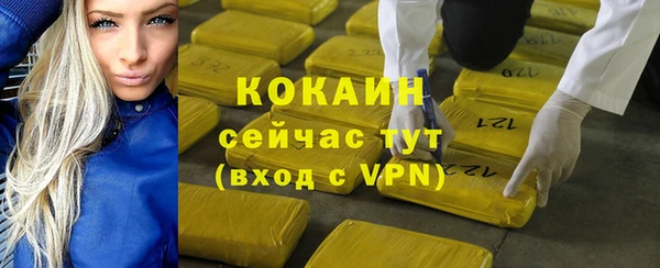 мяу мяу мука Новозыбков