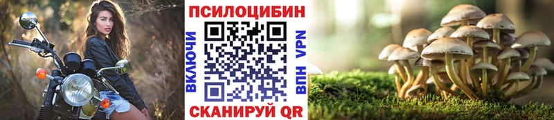 Галлюциногенные грибы прущие грибы ОМГ ОМГ зеркало Питкяранта хочу наркоту